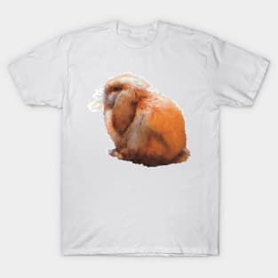 Floppy Eared Brown Bunny T-Shirt